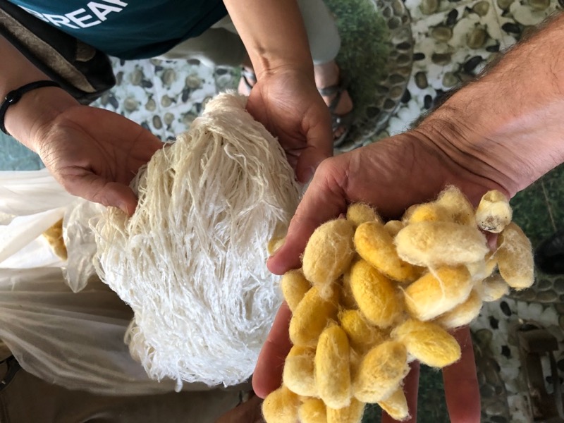 Vietnamese Silk Production